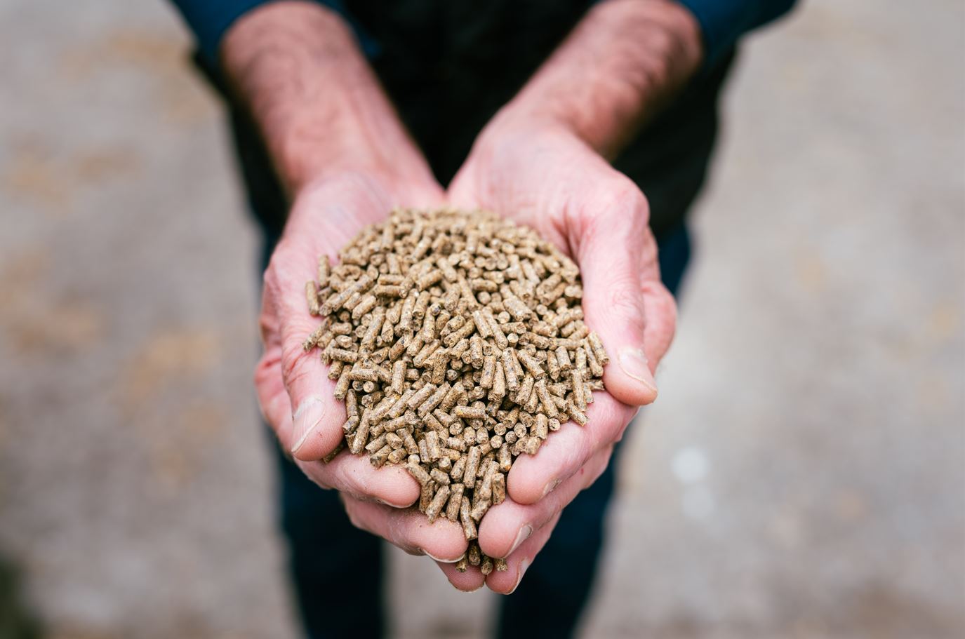 Nouvelle remise pour vos commandes anticipées d'aliments vrac