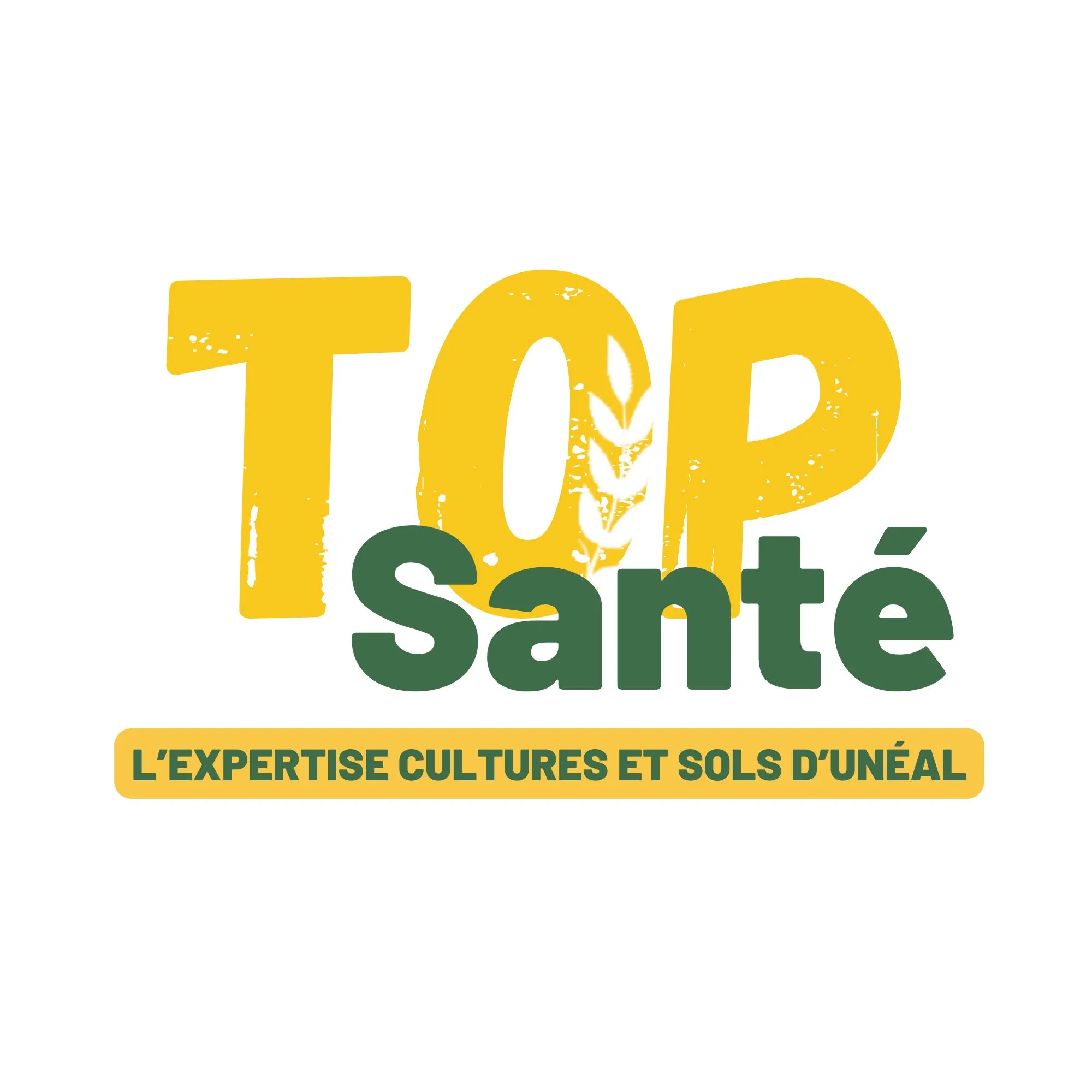 NOUVEAU : Le TOP sant&eacute; dans votre poche !