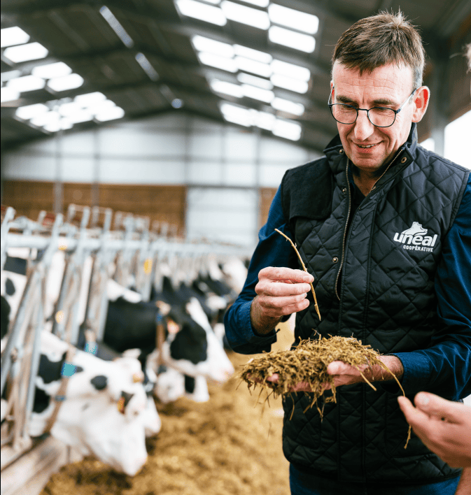 LES BOUTS D&rsquo;ETABLE REVIENNENT !