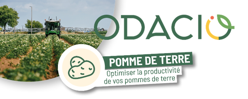 Participez à la 1ère réunion technique ODACIO pomme de terre