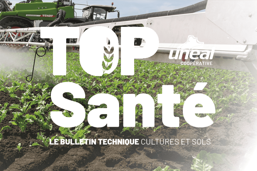 Le bulletin Top sant&eacute; du 15 Avril est disponible