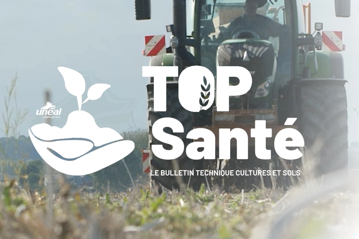 Top santé Flash