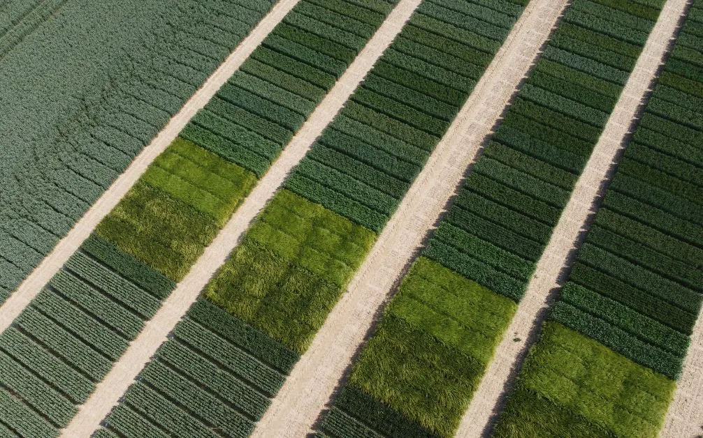 R&eacute;sultats d'essais 2025 !