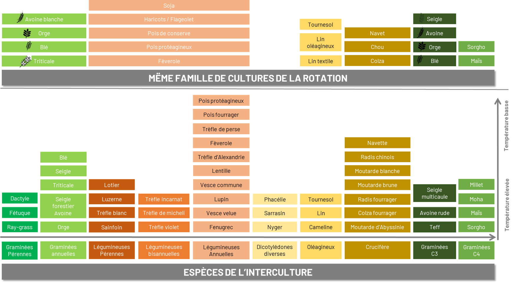 Familles de cultures vs. familles de couverts végétaux