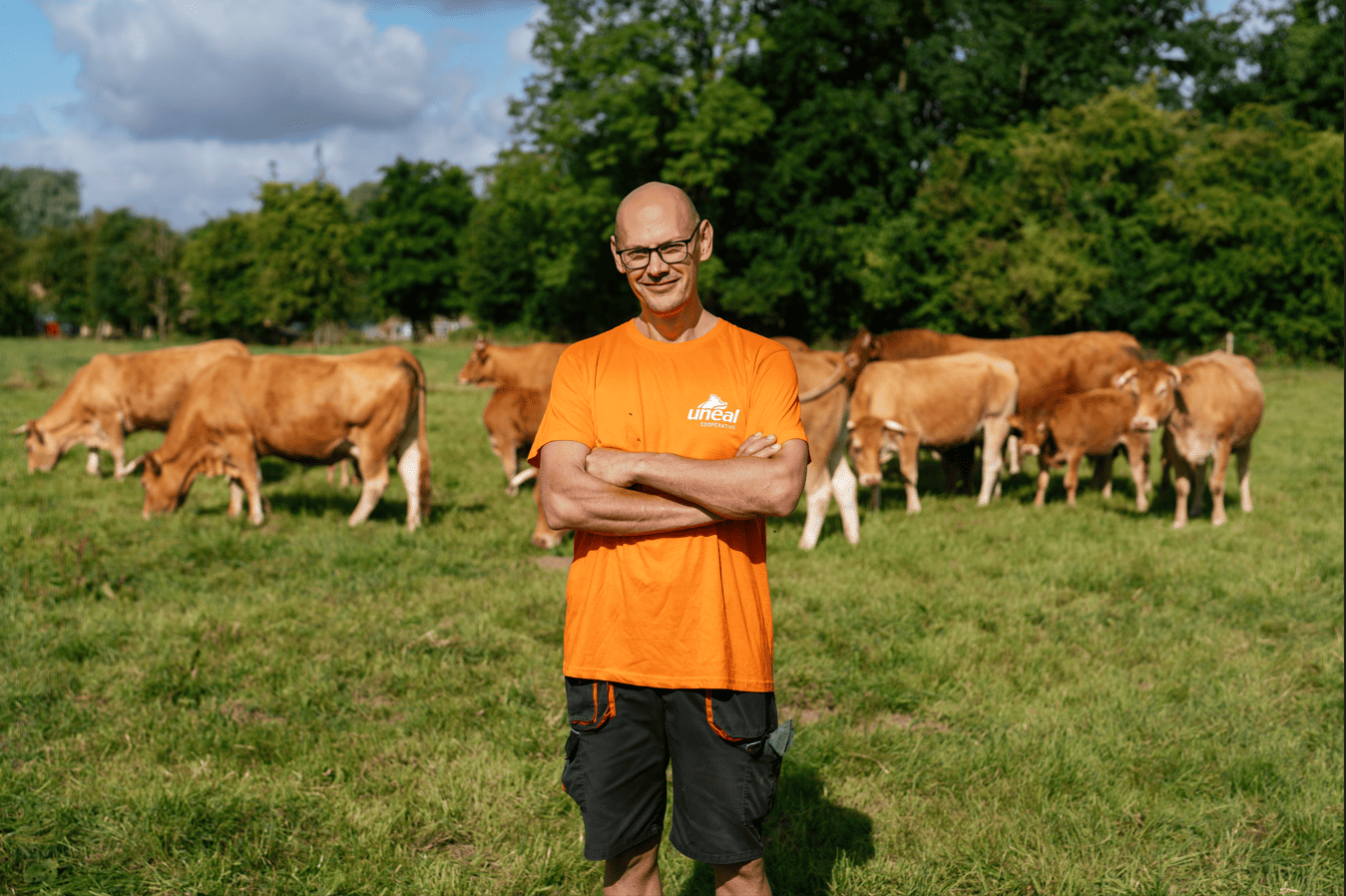 Bovins viande : Un enjeu pour la conformation : la finition