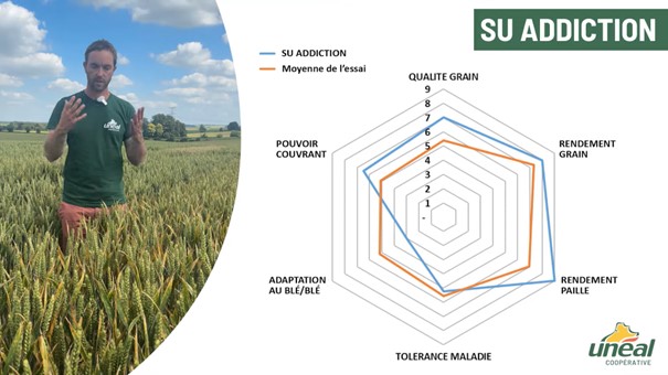 Semis 2024 - Quelle variété blé choisir ?