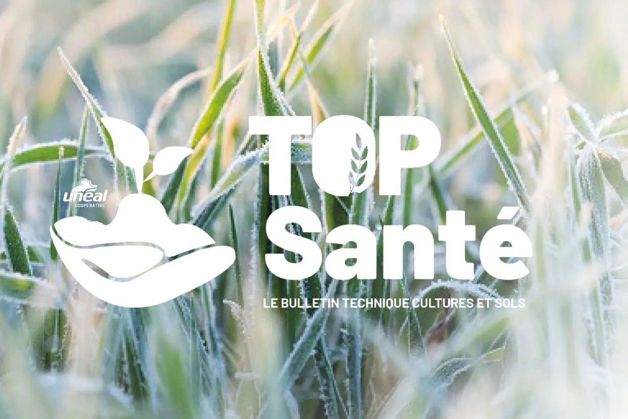 Le bulletin Top sant&eacute; du 21 janvier est disponible