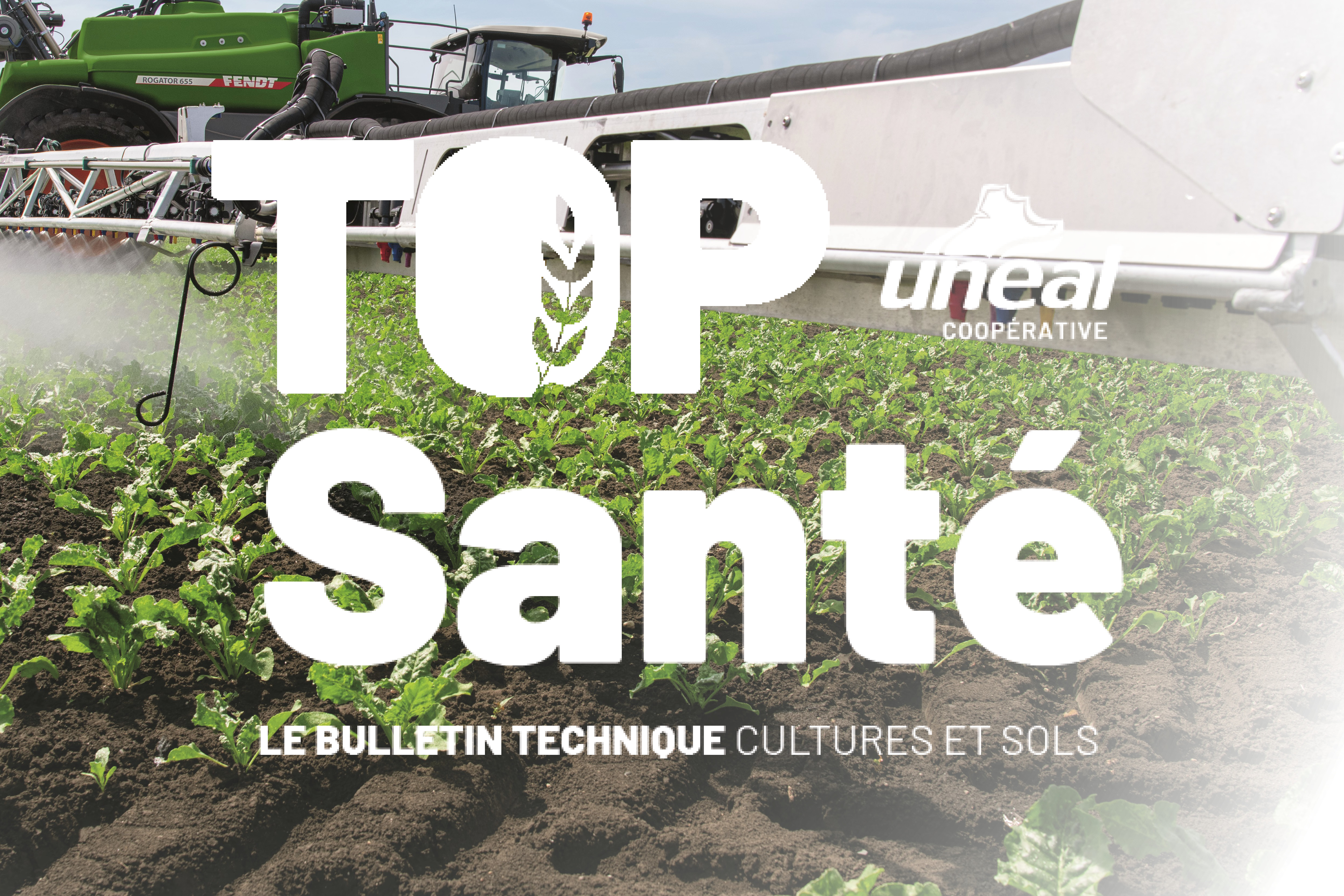 Le bulletin Top santé du 25 Juin est disponible