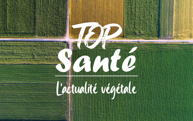 Le Top santé du 5 décembre est disponible !